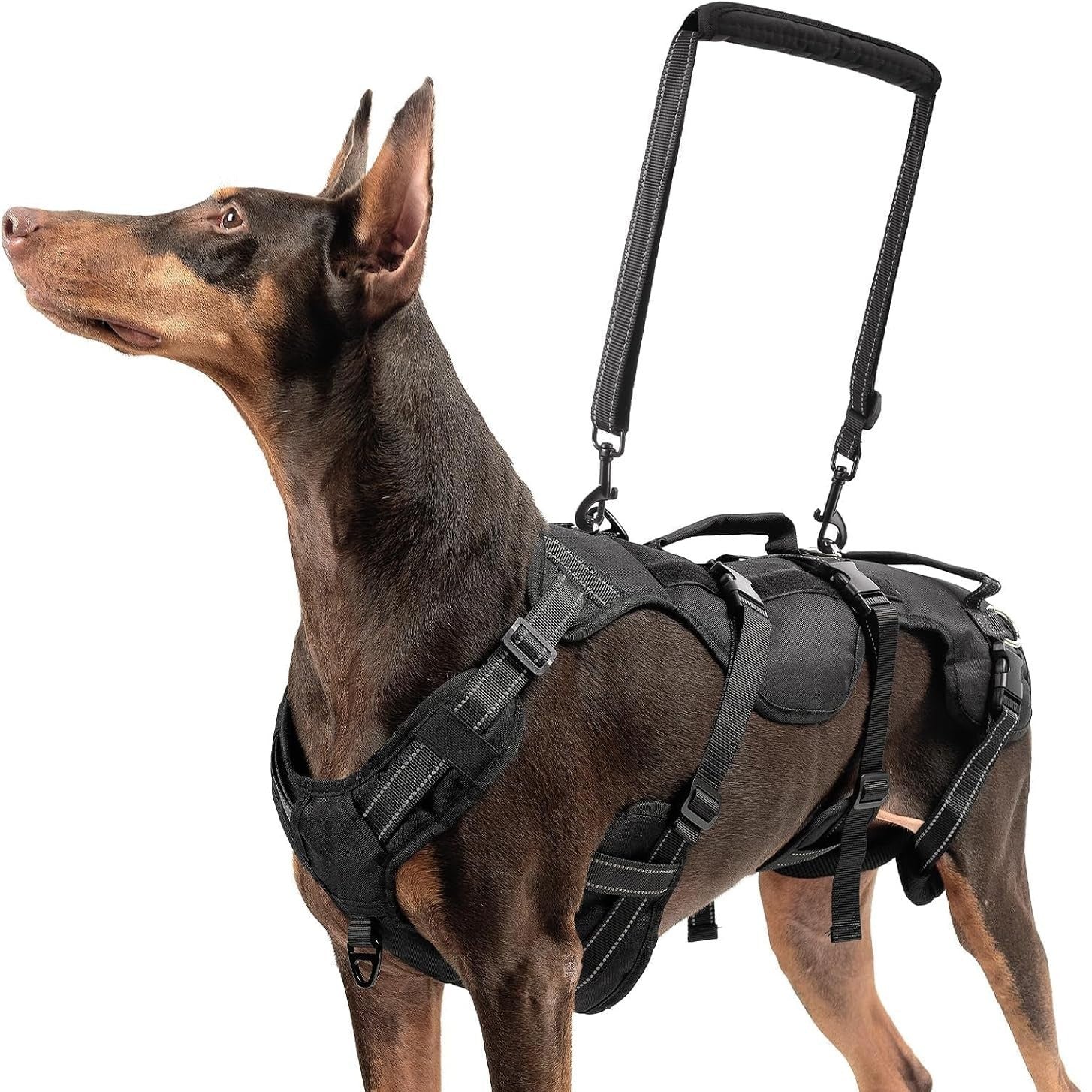 Large Dog Lift Harness – Full Body Mobility Support Sling for Senior &amp; Injured Dogs