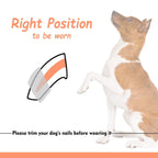 Dog Nail Caps Set – Soft Anti-Scratch Claw Covers with Glue for Small, Medium & Large Dogs