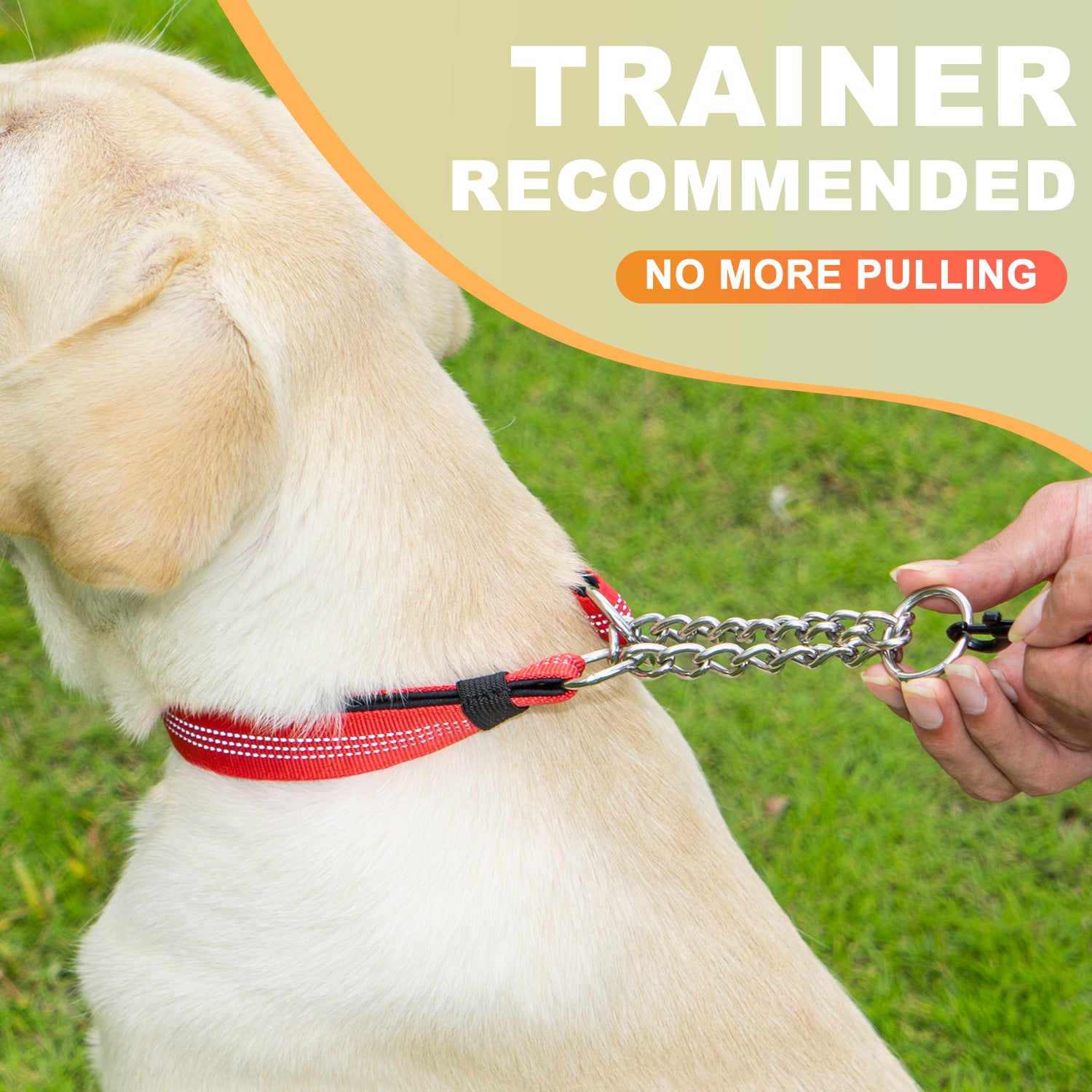Heavy-Duty Dog Training Collar with AirTag Holder – Adjustable Metal Chain Collar, Escape-Resistant Pet Collar for Medium & Large Dogs