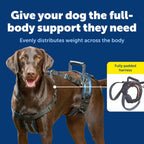 Full Body Dog Lift Harness for Disabled & Senior Dogs – Rear Leg Support Sling, Adjustable Mobility Walking Aid, Injury Recovery & Rehabilitation Harness