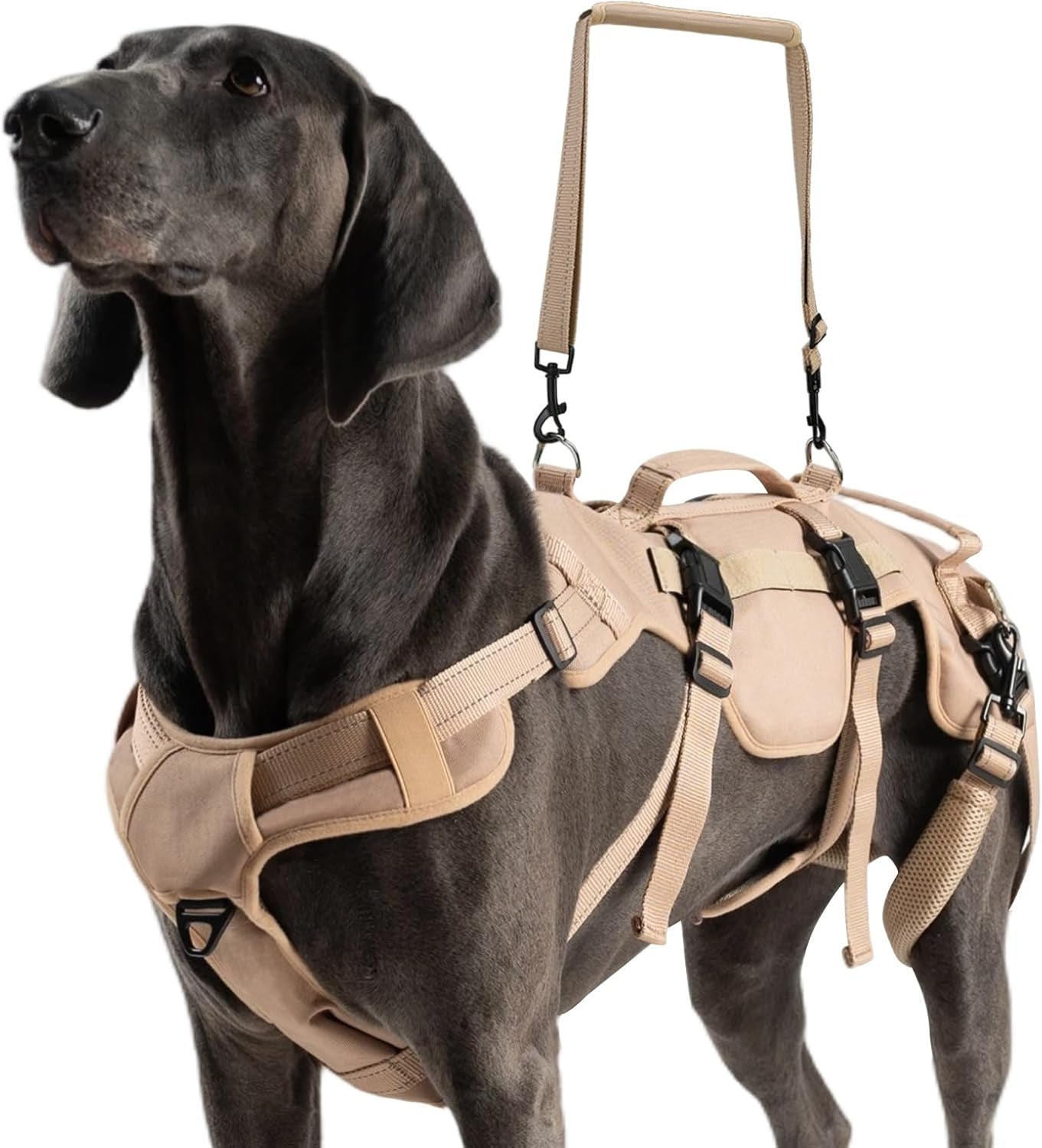 Large Dog Lift Harness – Full Body Mobility Support Sling for Senior &amp; Injured Dogs