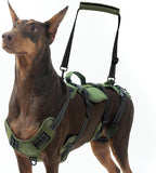Large Dog Lift Harness – Full Body Mobility Support Sling for Senior &amp; Injured Dogs