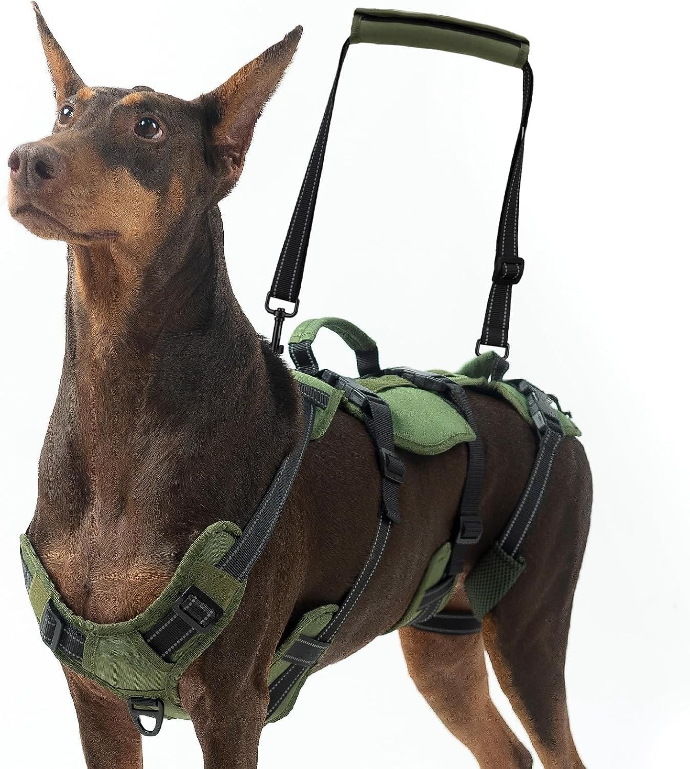 Large Dog Lift Harness – Full Body Mobility Support Sling for Senior &amp; Injured Dogs