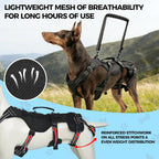 Large Dog Lift Harness – Full Body Mobility Support Sling for Senior &amp; Injured Dogs