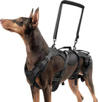 Large Dog Lift Harness – Full Body Mobility Support Sling for Senior &amp; Injured Dogs