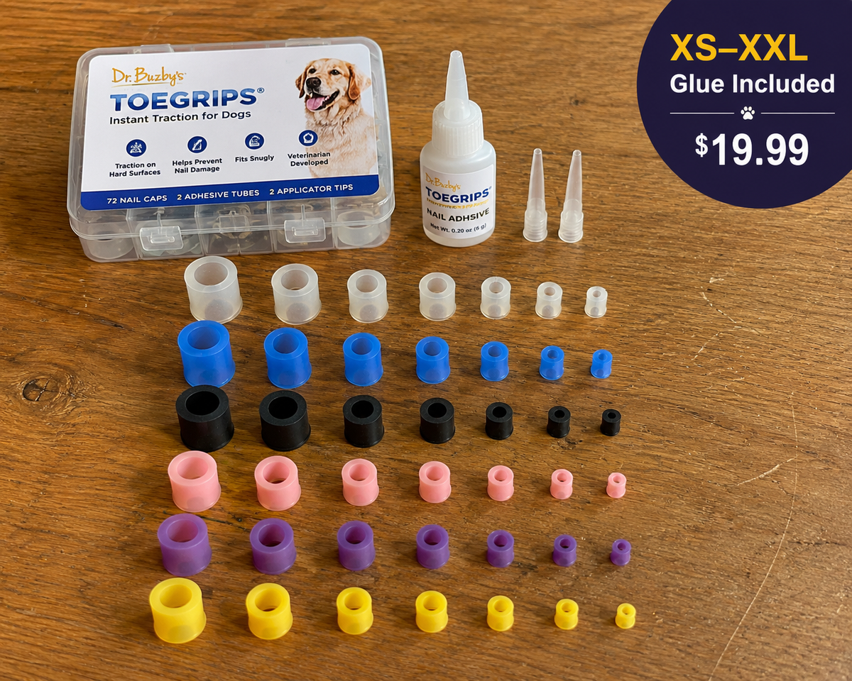 Dog Nail Caps Set – Soft Anti-Scratch Claw Covers with Glue for Small, Medium & Large Dogs