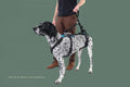 Dog Walking Handle – Swivel Lift Grip Attachment for Mobility Support Harnesses