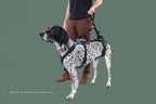 Dog Walking Handle – Swivel Lift Grip Attachment for Mobility Support Harnesses