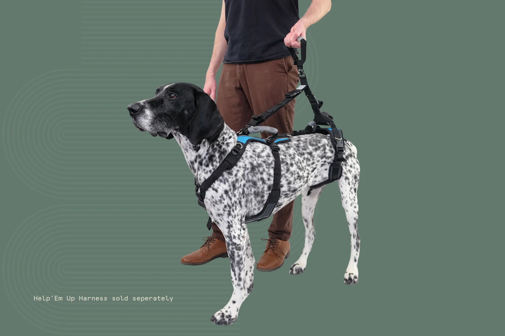 Dog Walking Handle – Swivel Lift Grip Attachment for Mobility Support Harnesses