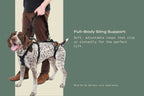 Dog Walking Support Handles – Adjustable Harness Lift Aid for Senior & Recovering Dogs (Set of 2)