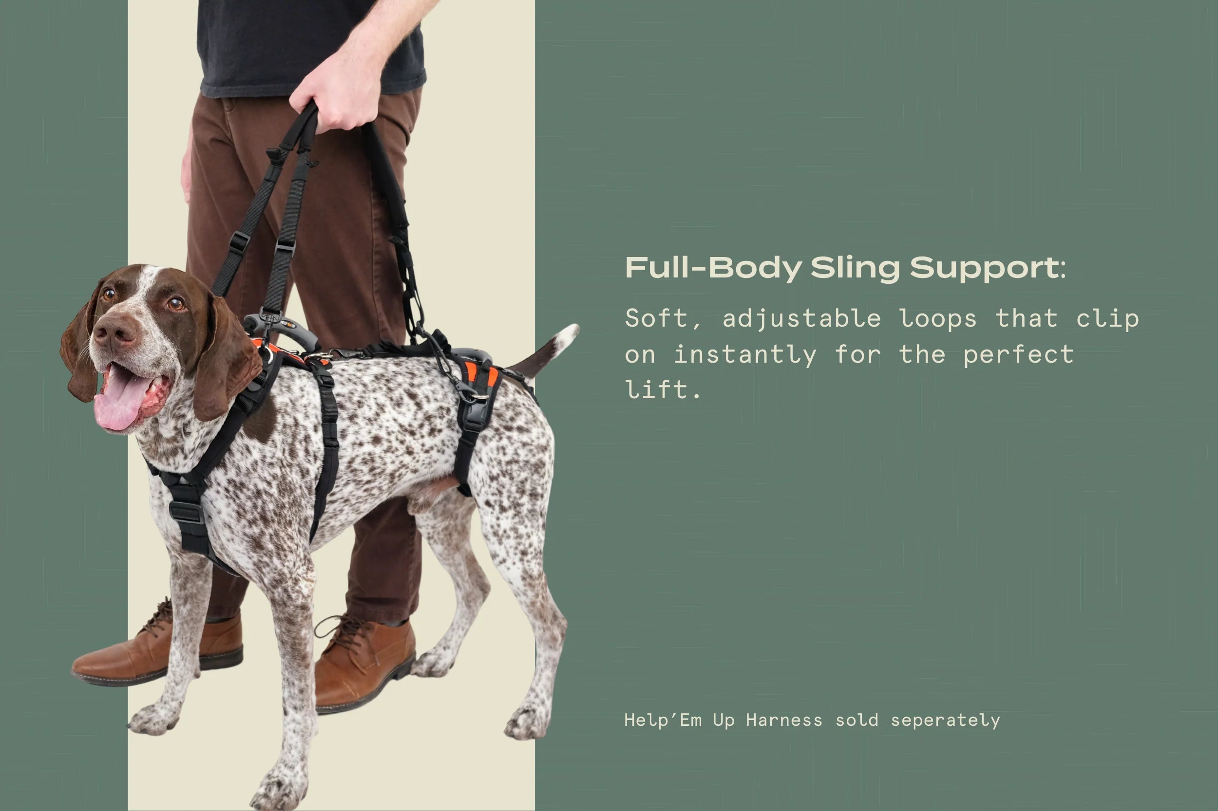 Dog Walking Support Handles – Adjustable Harness Lift Aid for Senior & Recovering Dogs (Set of 2)