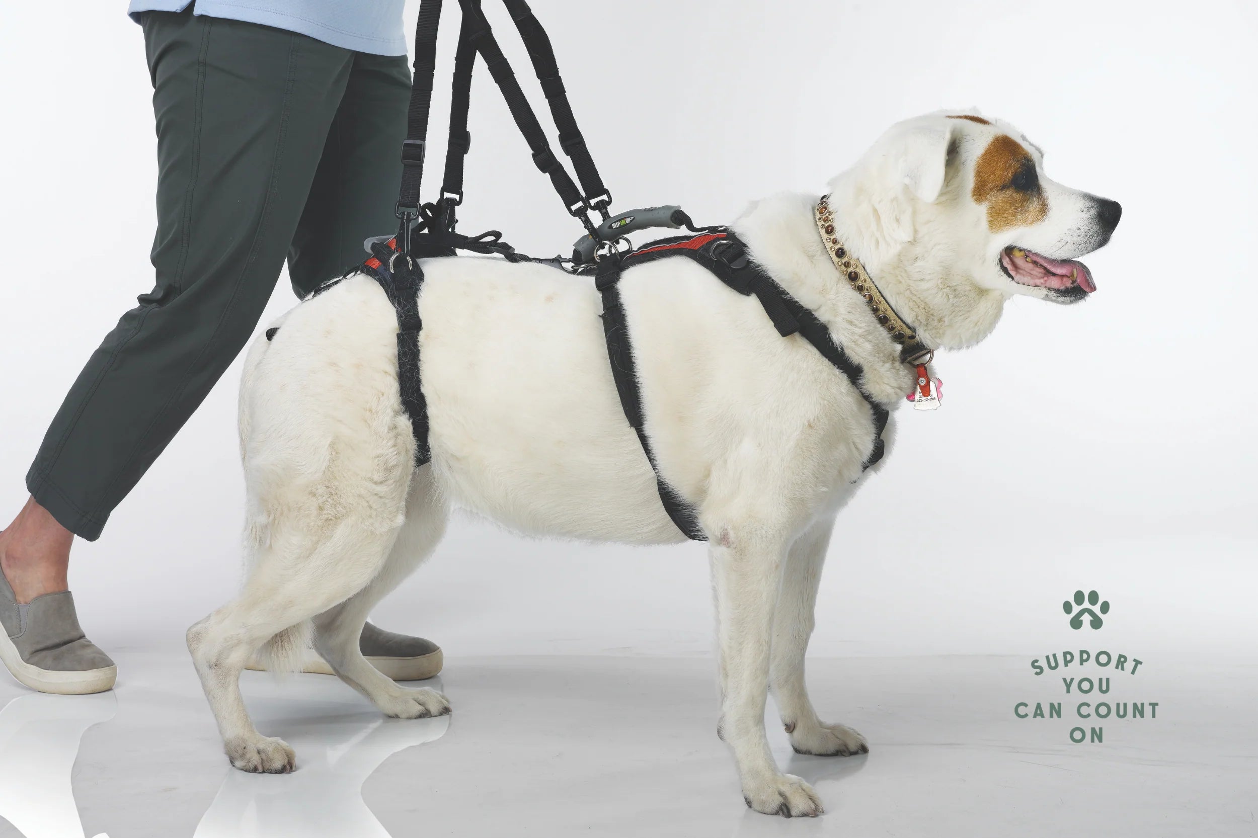 Dog Walking Support Handles – Adjustable Harness Lift Aid for Senior & Recovering Dogs (Set of 2)
