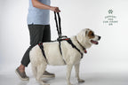 Dog Walking Support Handles – Adjustable Harness Lift Aid for Senior & Recovering Dogs (Set of 2)