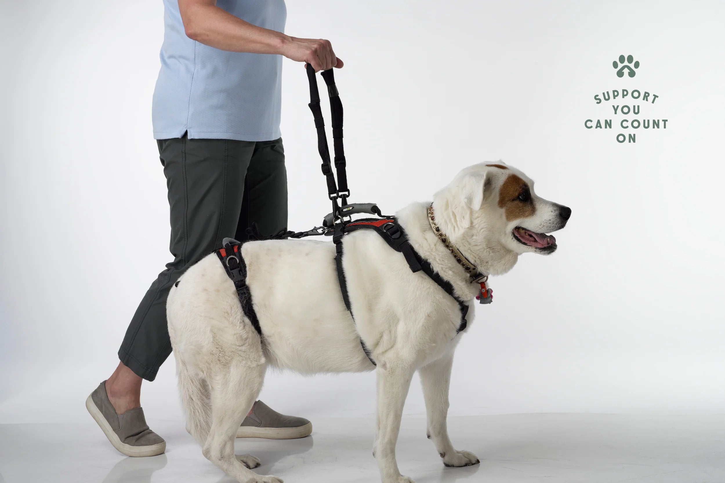 Dog Walking Support Handles – Adjustable Harness Lift Aid for Senior & Recovering Dogs (Set of 2)