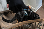 Dog Walking Support Handles – Adjustable Harness Lift Aid for Senior & Recovering Dogs (Set of 2)