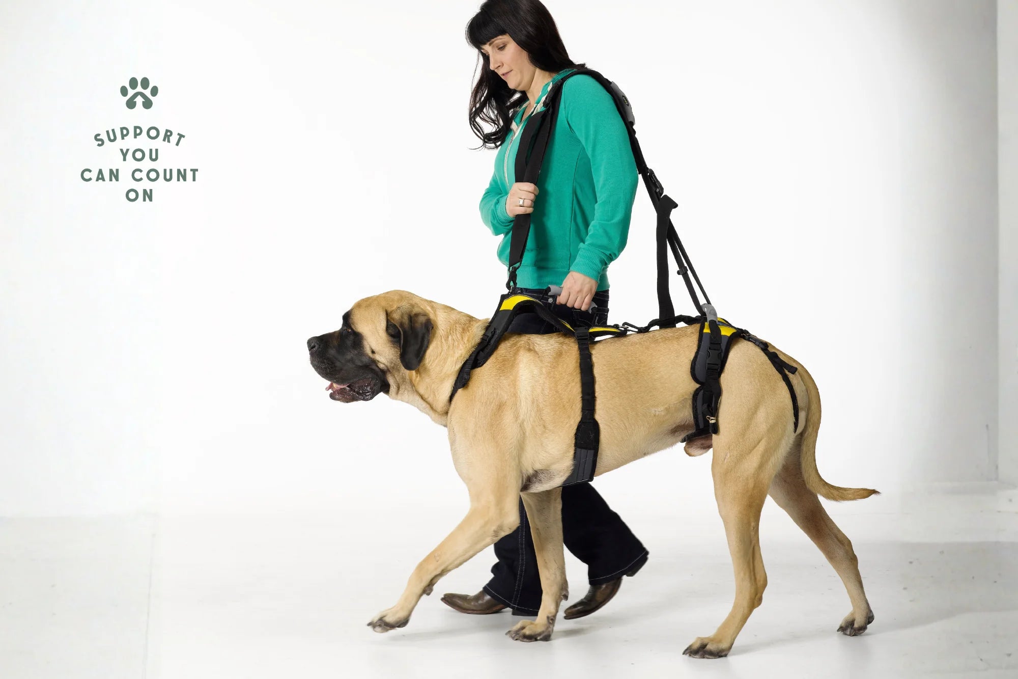 Dog Mobility Support Harness – Padded Walking Lift Sling with Shoulder Strap