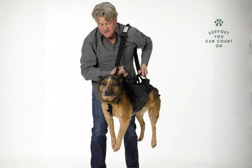Dog Mobility Support Harness – Padded Walking Lift Sling with Shoulder Strap