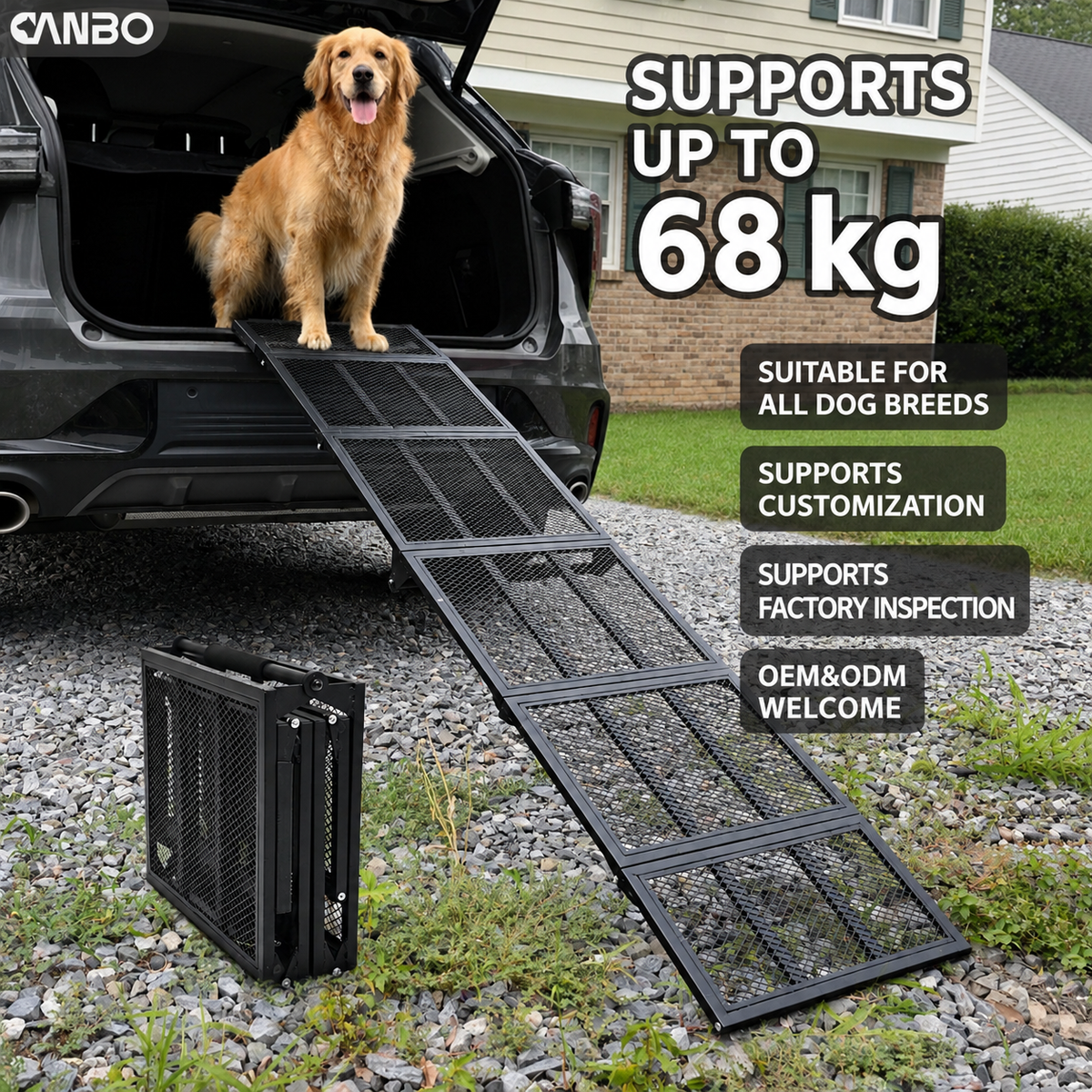 Portable Folding Dog Ramp for Cars, SUVs & Trucks