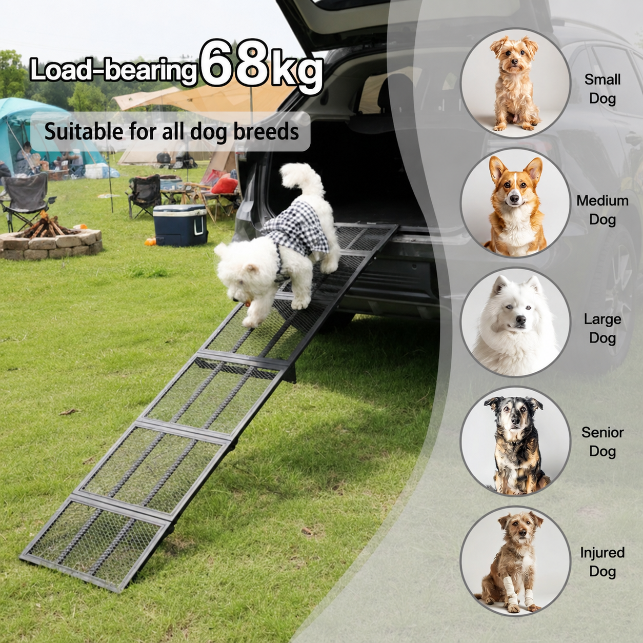 Portable Folding Dog Ramp for Cars, SUVs & Trucks