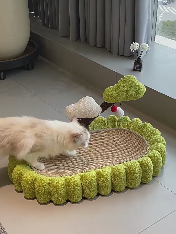 Sisal Cat Scratcher Bowl – Money Tree Lounge Bed