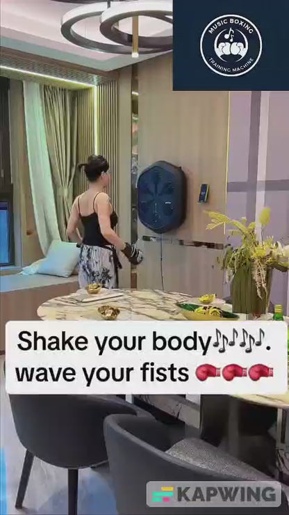 Bluetooth Music Boxing Target – Smart Home Boxing Trainer