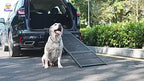 Portable Folding Dog Ramp – Non-Slip Metal for Cars, SUVs & Trucks