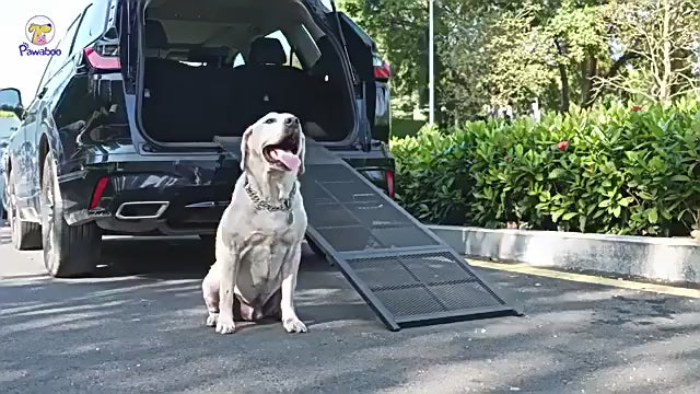 Portable Folding Dog Ramp – Non-Slip Metal for Cars, SUVs & Trucks