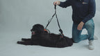 Dog Walking Handle – Swivel Lift Grip Attachment for Mobility Support Harnesses