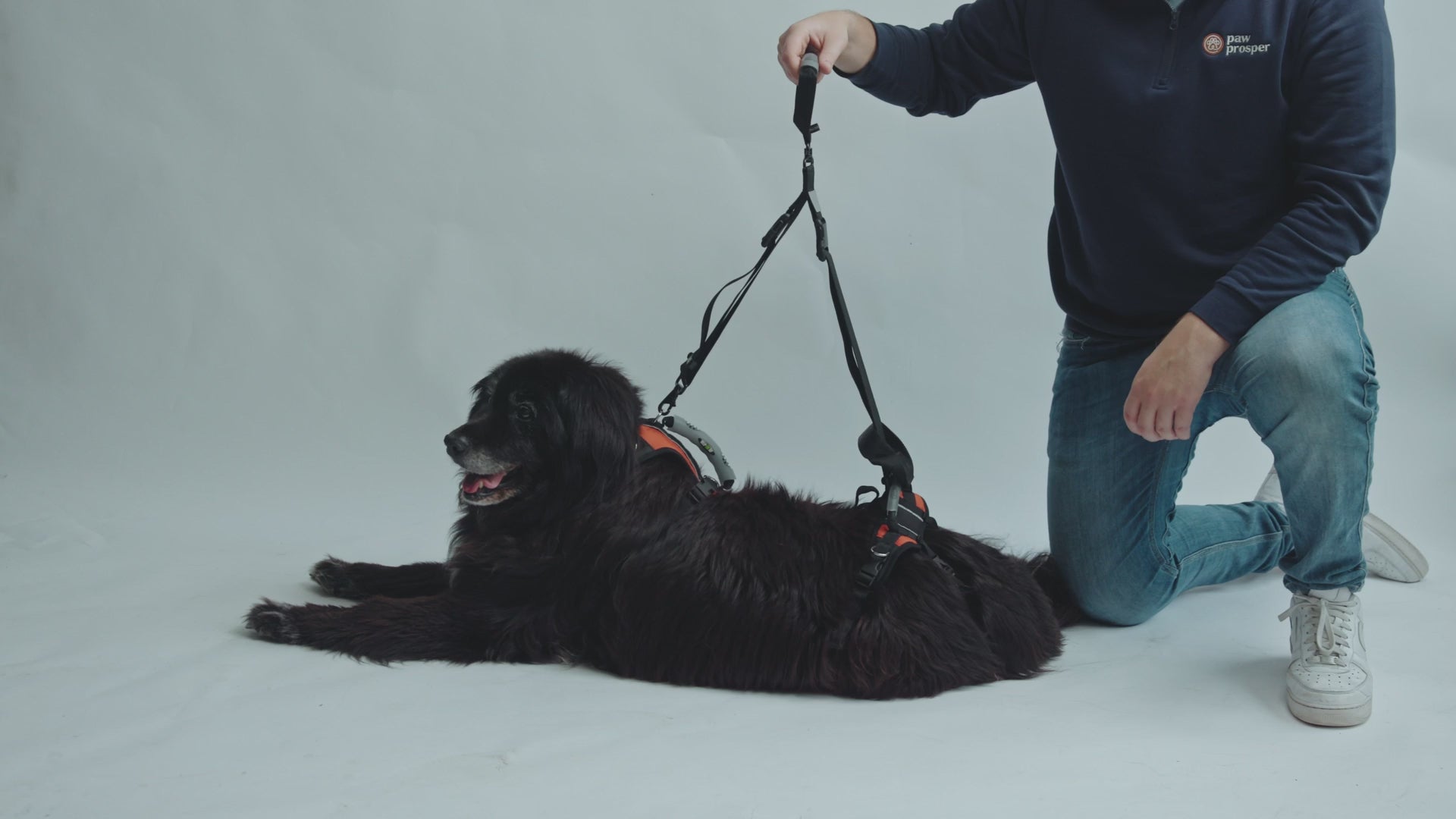 Dog Walking Handle – Swivel Lift Grip Attachment for Mobility Support Harnesses