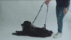 Dog Mobility Support Harness – Padded Walking Lift Sling with Shoulder Strap