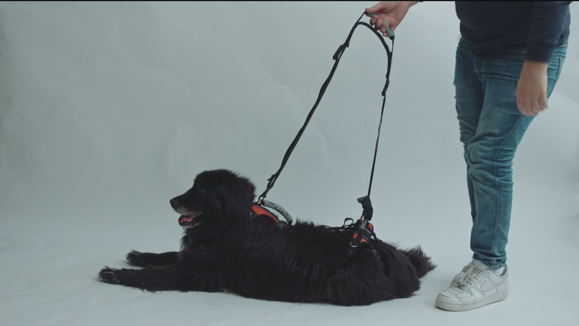 Dog Mobility Support Harness – Padded Walking Lift Sling with Shoulder Strap